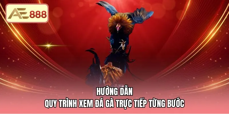 Trình tự truy cập sảnh cược và theo dõi trực tiếp Thomo