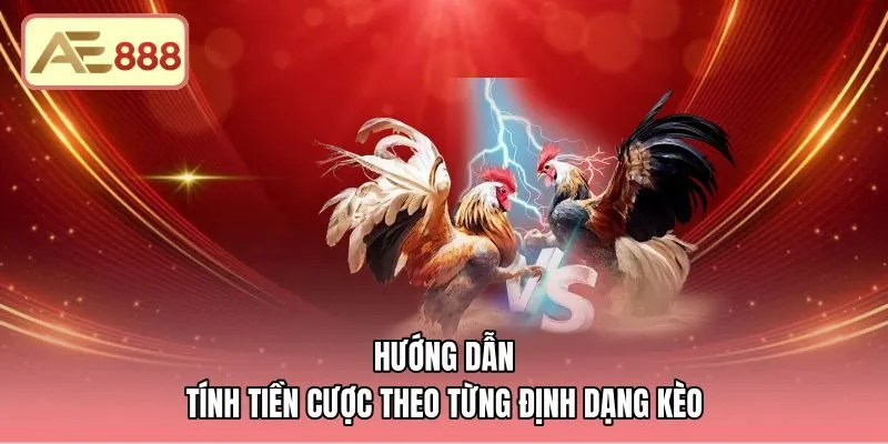 huong-dan-tinh-tien-cuoc-theo-tung-dinh-dang-keo Phương pháp tính tiền cược kèo Decimal cùng kèo âm dương