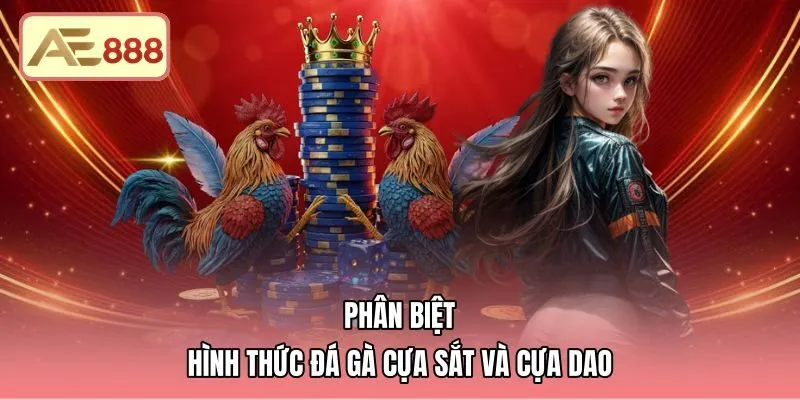 Phân biệt cựa dao và cựa sắt tại đấu trường Thomo